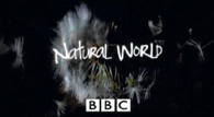 25th Anniversary of BBC Natural World